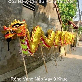 RỒNG VÀNG 9 KHÚC NẮP VẢY 
