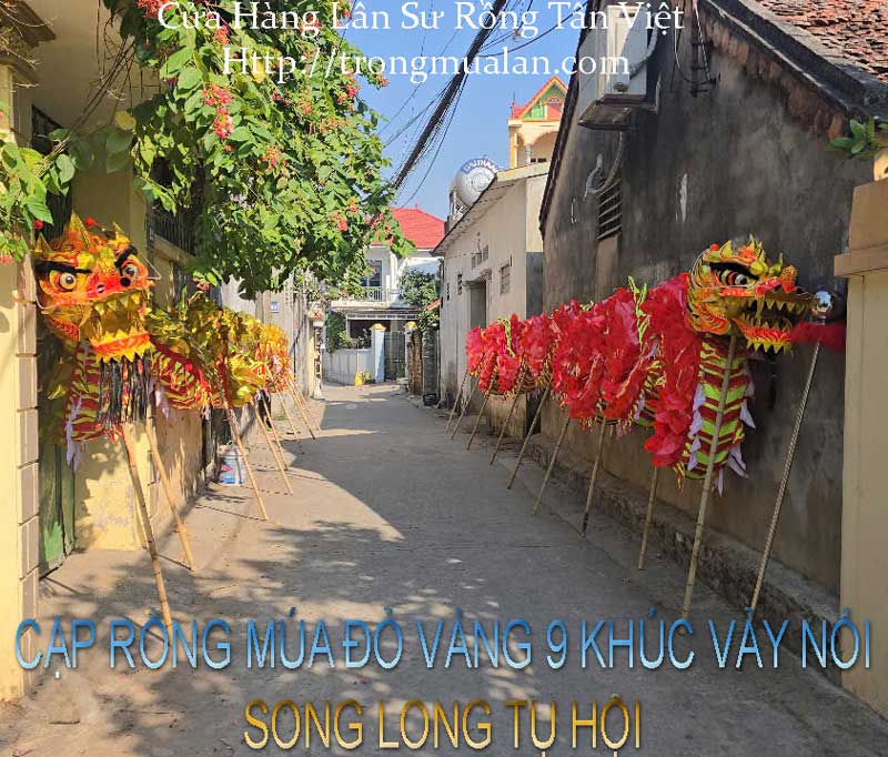 CẦN MUA VÀ GIÁ RỒNG MUA LỄ HỘI Ở ĐÂU ?