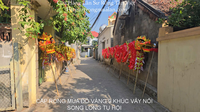 Bộ rồng múa đỏ vàng 9 khúc nắp vảy